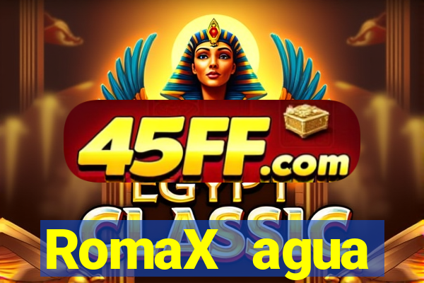 RomaX agua sanitaria fispq agua sanitaria romax